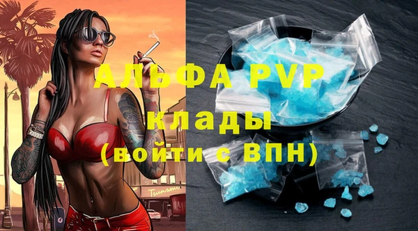 индика Белокуриха