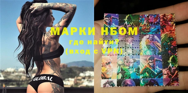 индика Белокуриха